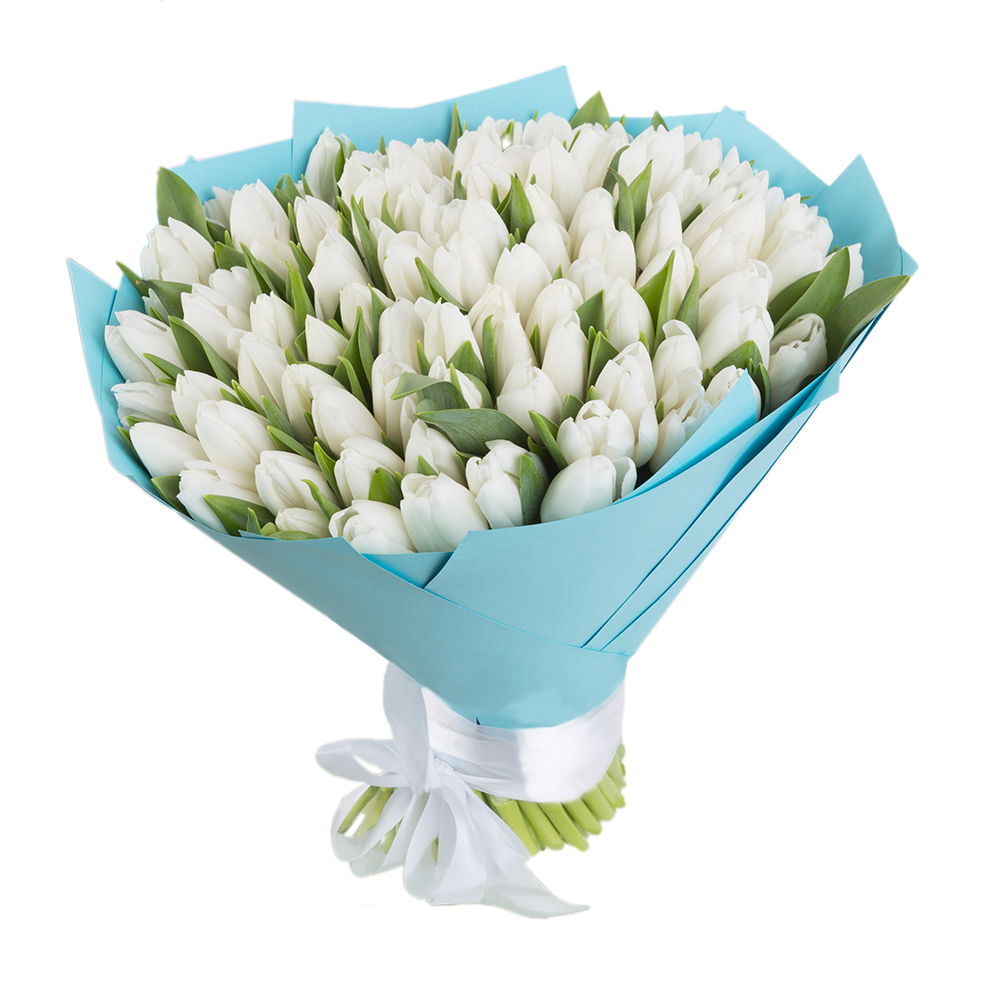 101 белый тюльпан