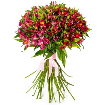 Букет из 35 розовых альстромерий