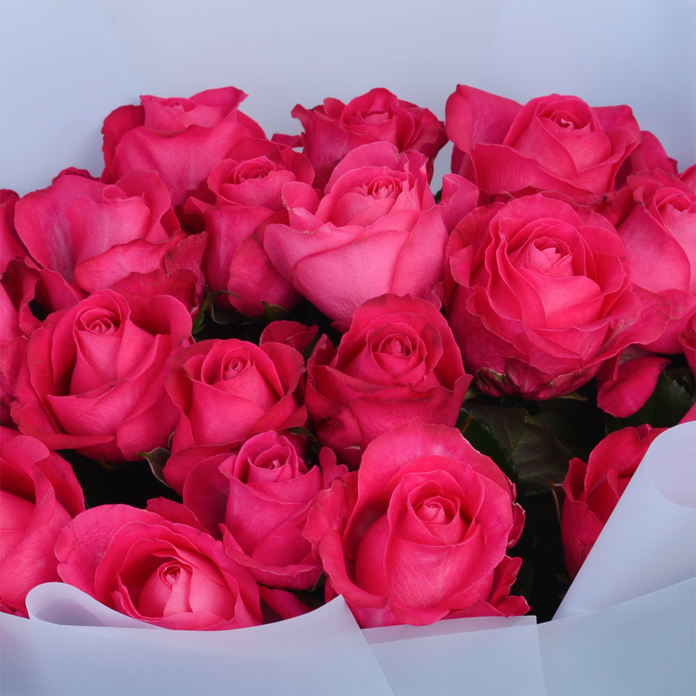 Букет из 21 малиновой розы 60 см