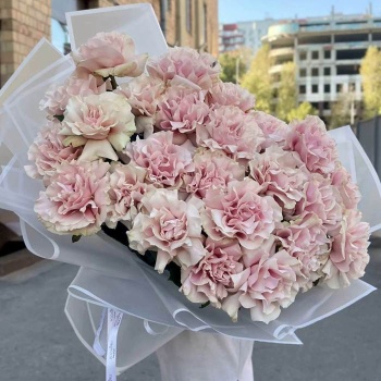 Французская розовая роза 25 шт.