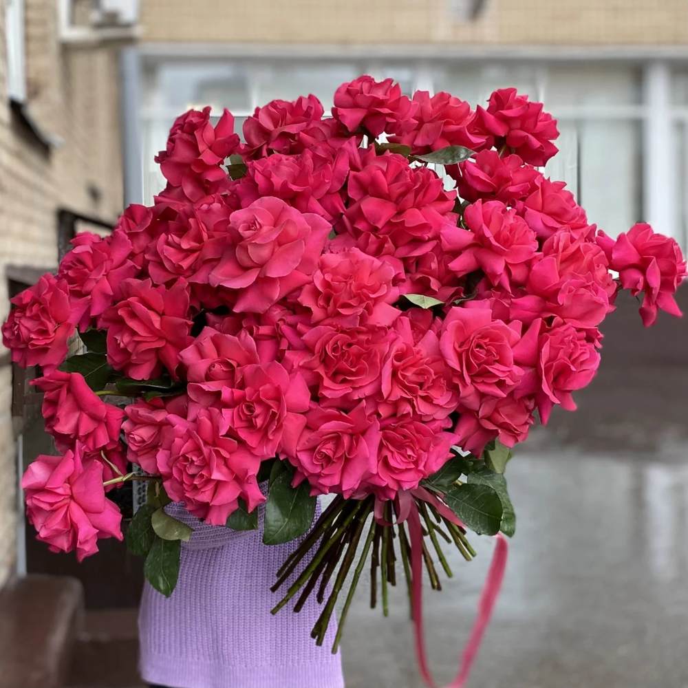 Французская малиновая роза 51 шт.