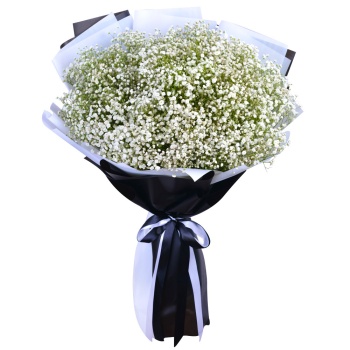 Букет из 35 белых гипсофил