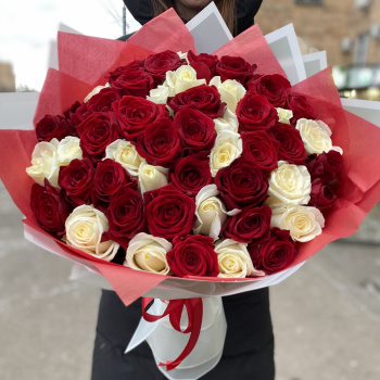 Букет из 51 красной и белой розы 50 см