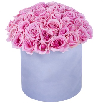 Букет из 51 розовой розы premium в серой бархатной шляпной коробке