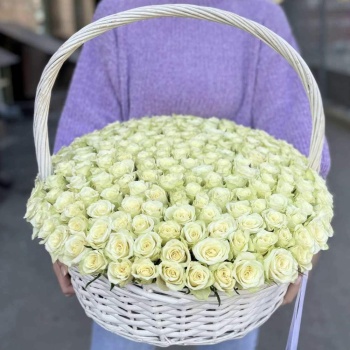 201 белая роза в корзине с лентой