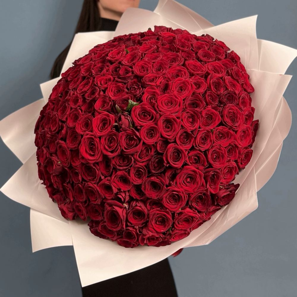 201 красная роза Premium  50 см.