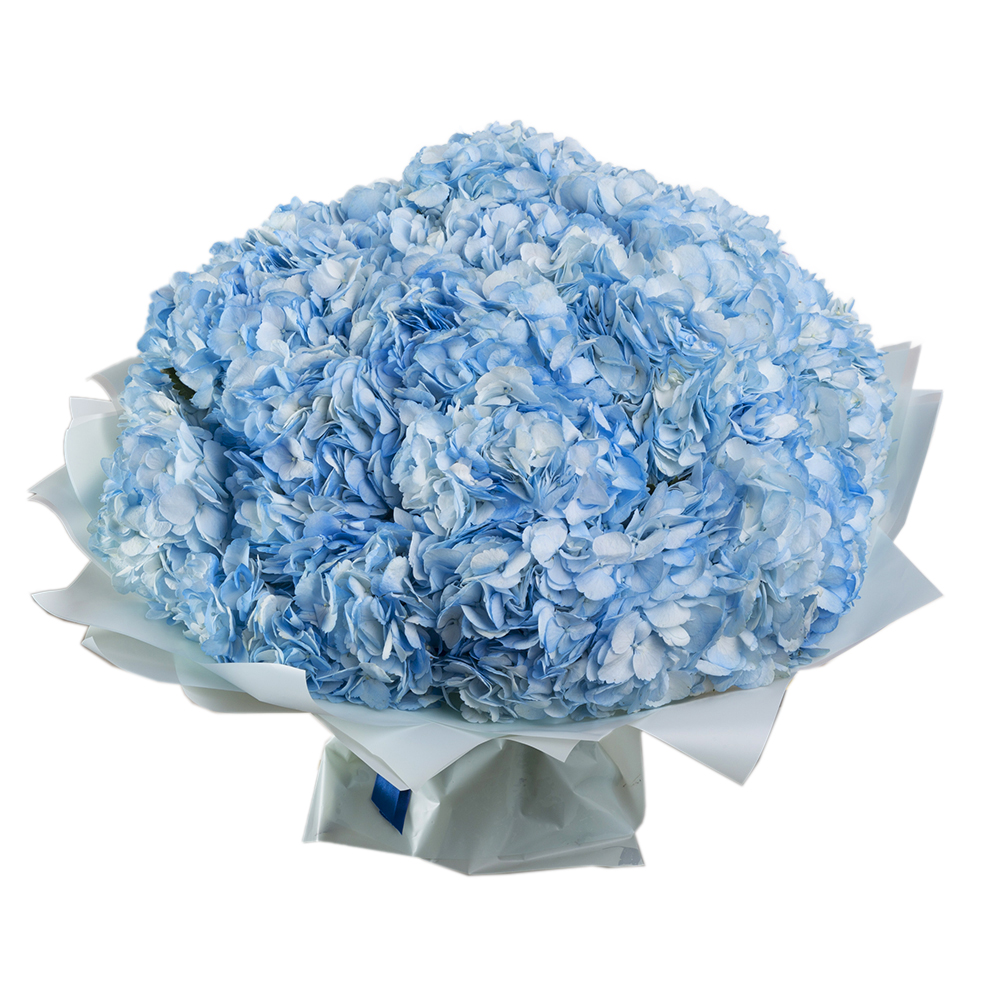 Букет из 15 голубых гортензий