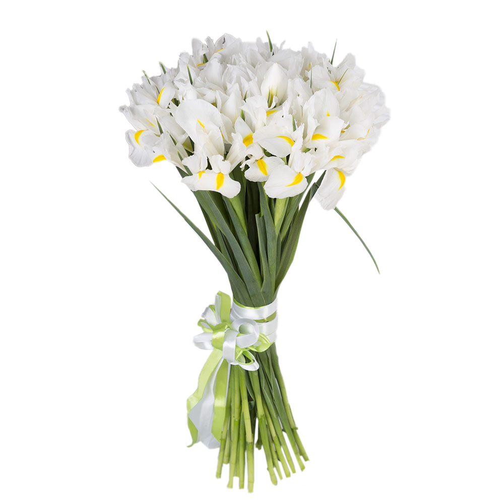 Букет из белого ириса 25 шт