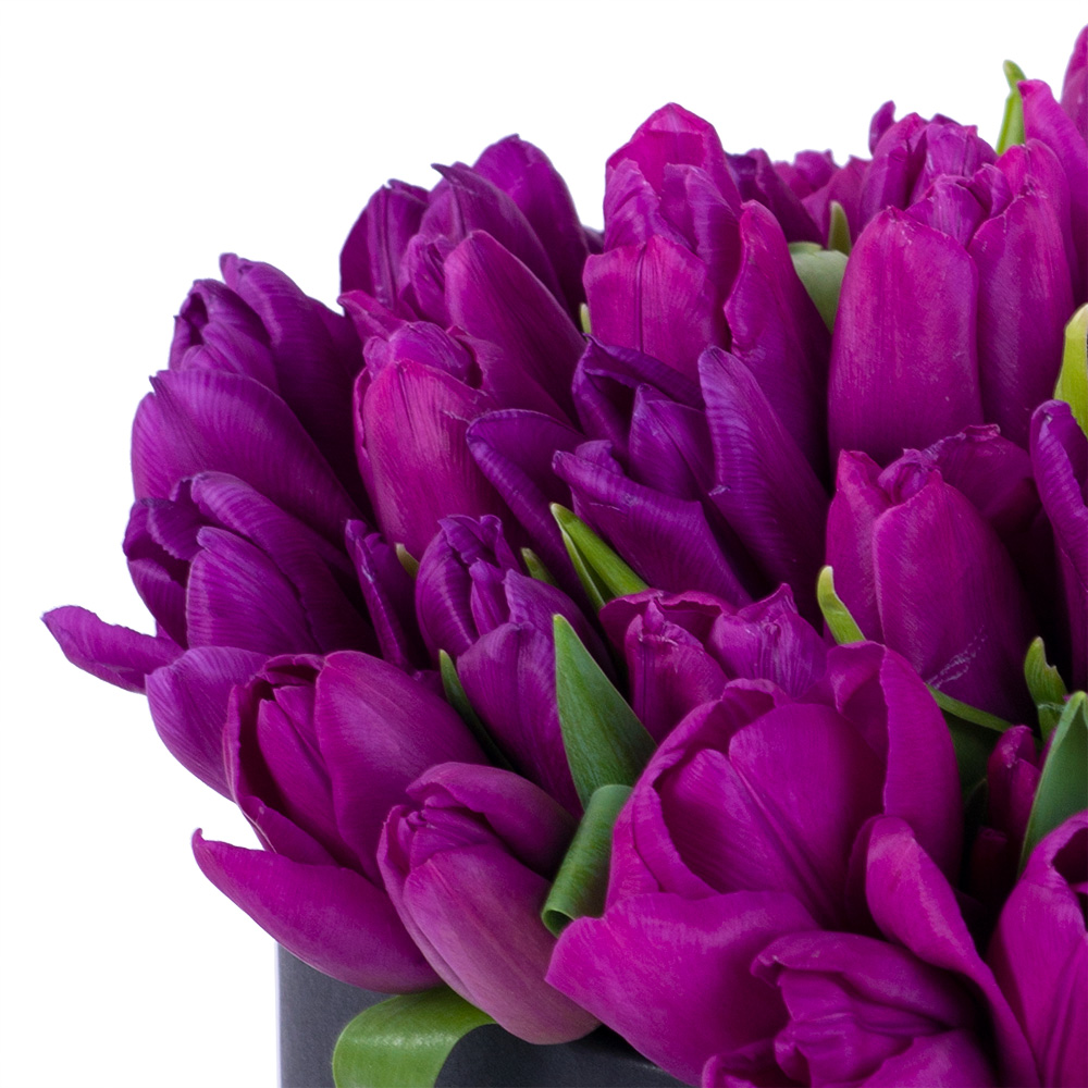 51 фиолетовый тюльпан в черной шляпной коробке