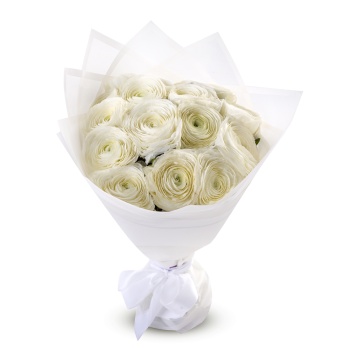 Букет из 15 белых ранункулюсов