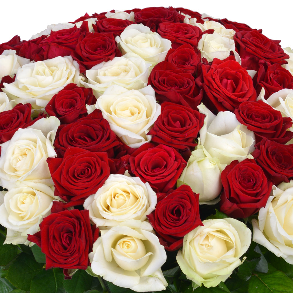 75 разноцветных роз Premium 60 см