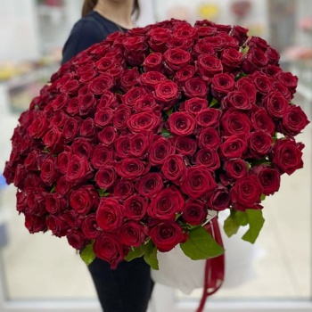 151 красная роза Premium 70 см.