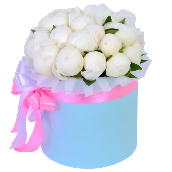 Букет из 21 белого пиона в голубой шляпной коробке