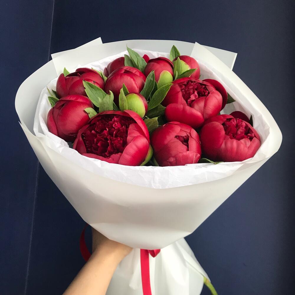 Букет из 11 бордовых пионов