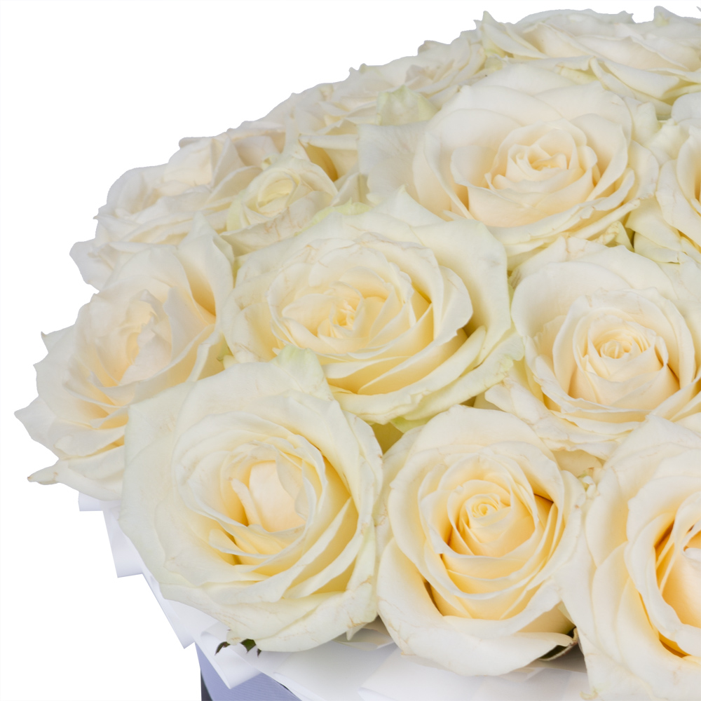 Букет из 25 белых роз premium в черной шляпной коробке