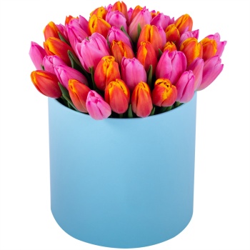 Букет микс из 51 тюльпана в голубой шляпной коробке