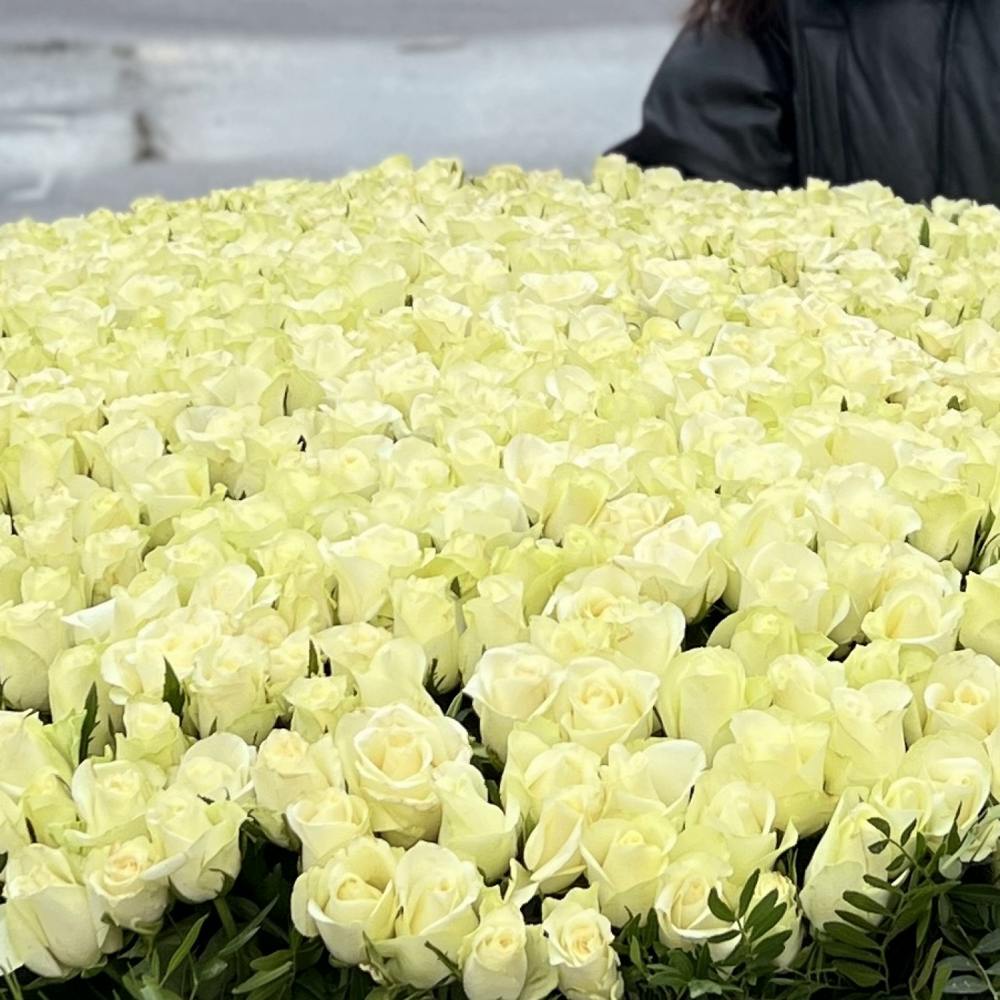 Шикарная корзина из 1001 белой розы 