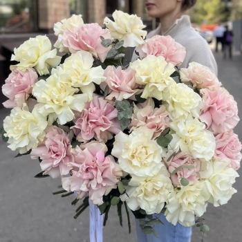 Французская розовая и белая роза 25 шт.