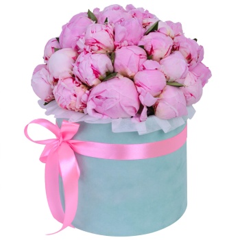 Букет из 35 розовых пионов в зеленой бархатной шляпной коробке