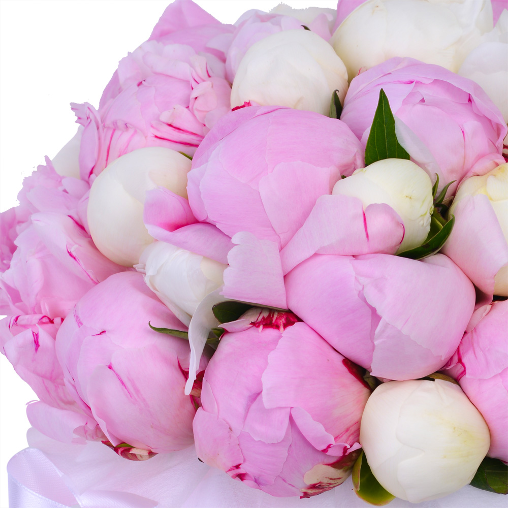 Букет из 35 разноцветных пионов в белой шляпной коробке