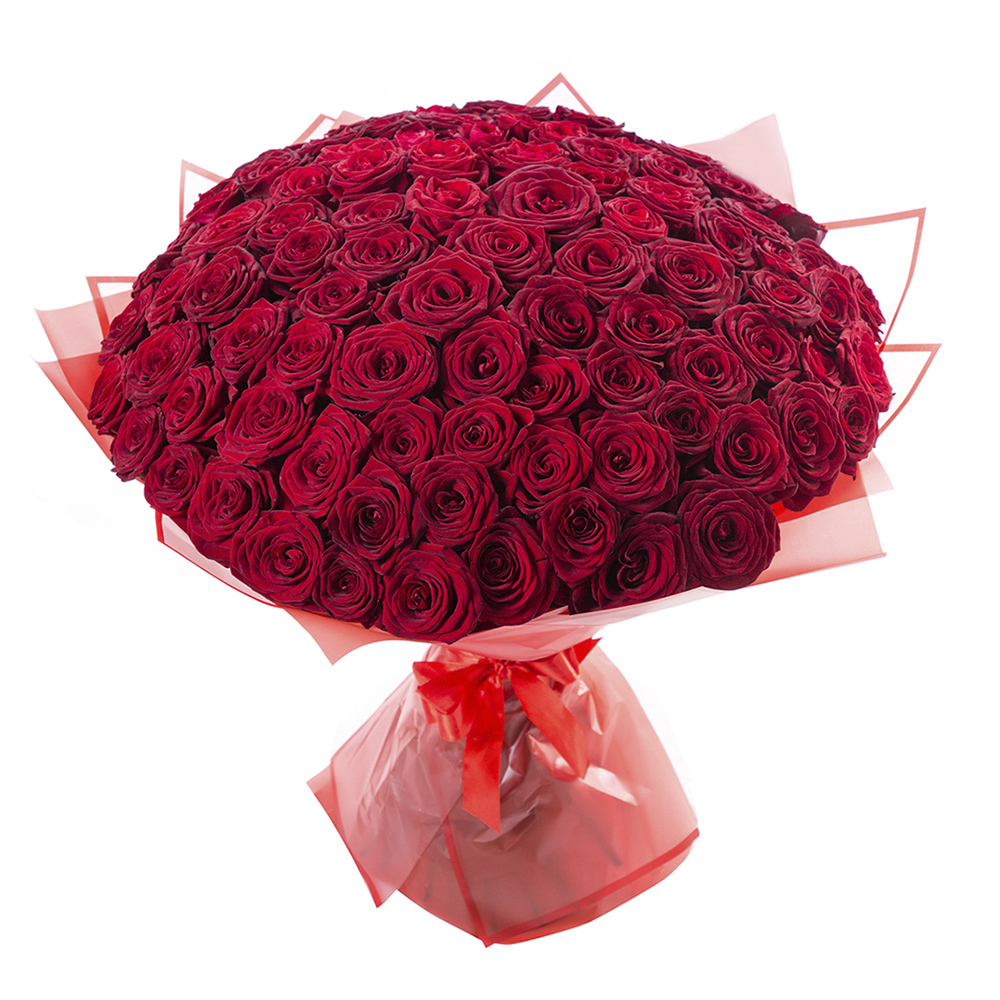 101 красная роза Premium 60 см