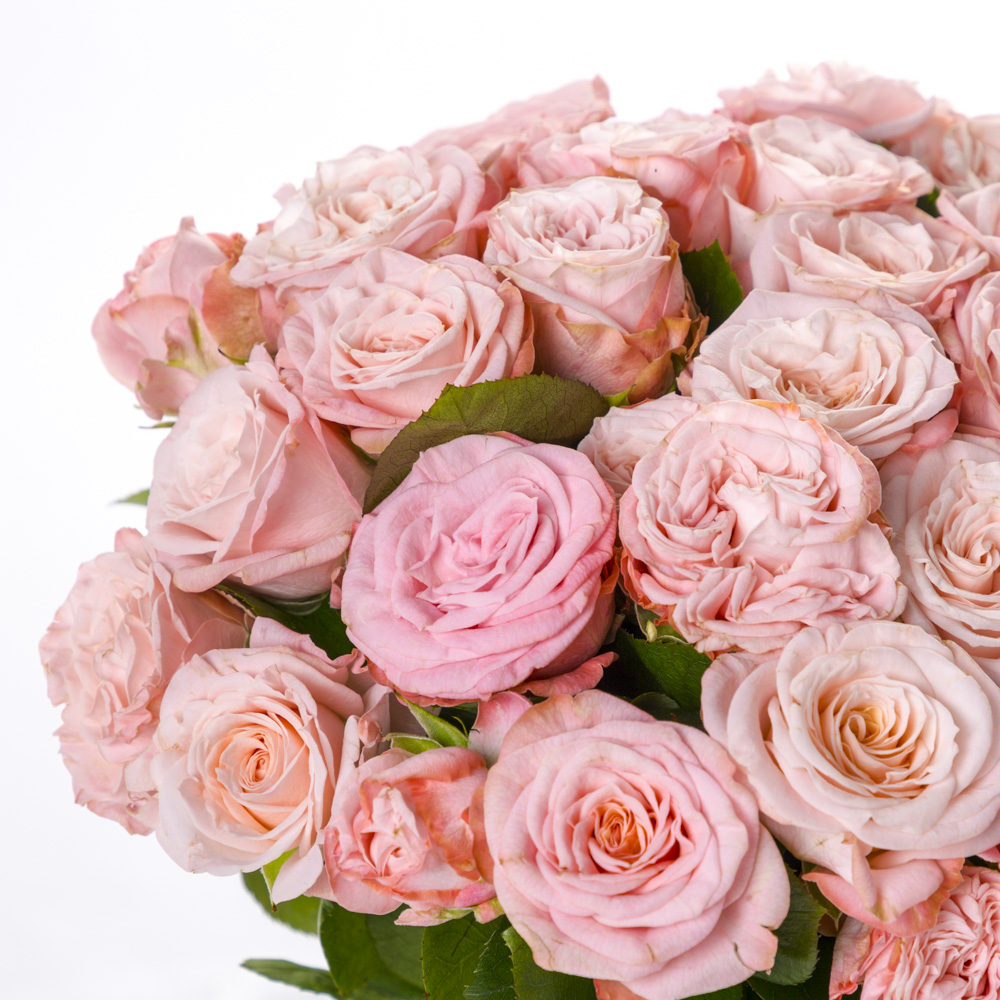 35 розовых кустовых роз