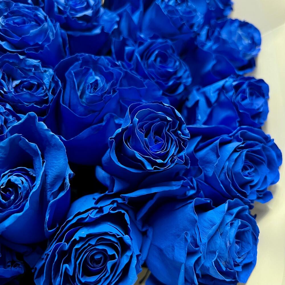 Букет из 51 синей розы Эквадор
