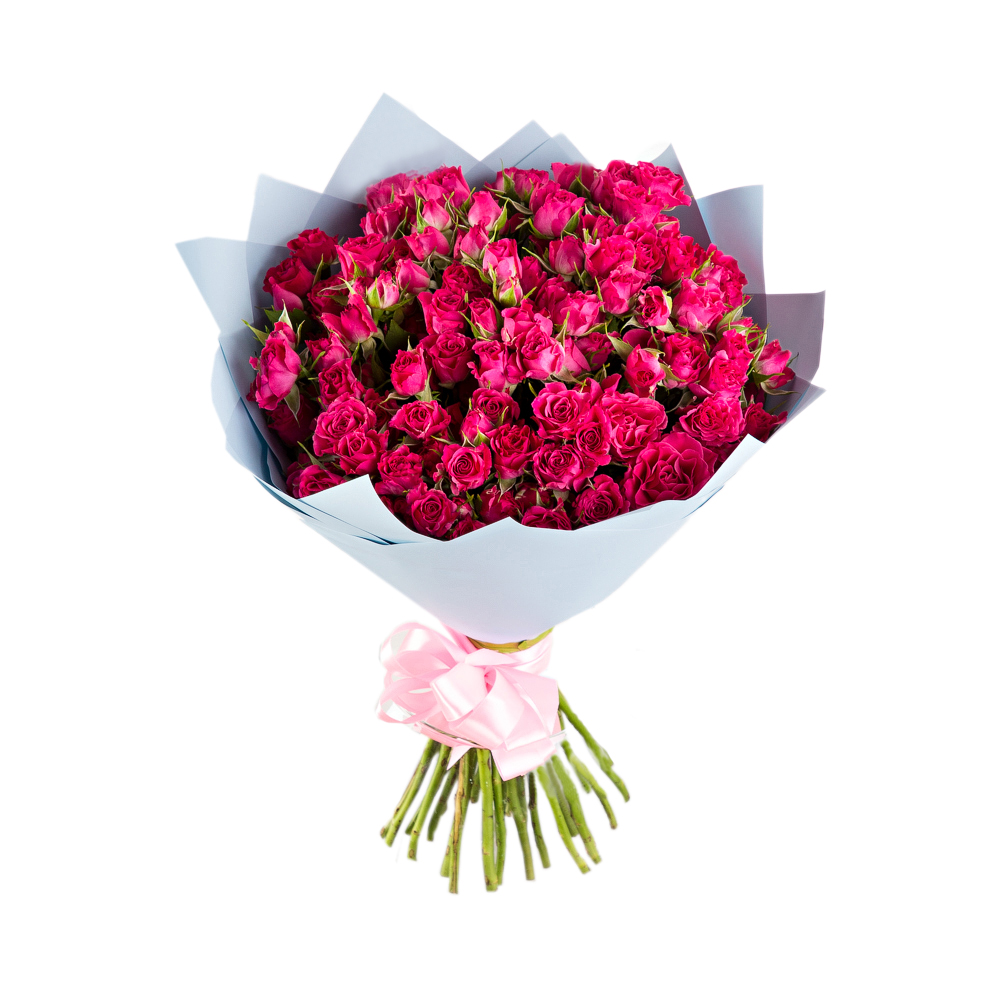25 малиновых кустовых роз