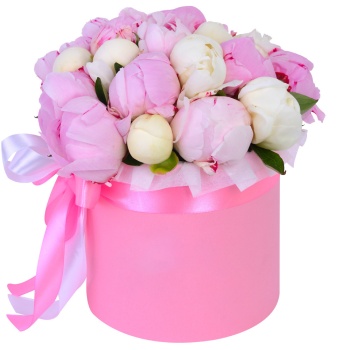 Букет из 19 разноцветных пионов в розовой шляпной коробке