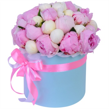 Букет из 35 разноцветных пионов в голубой шляпной коробке