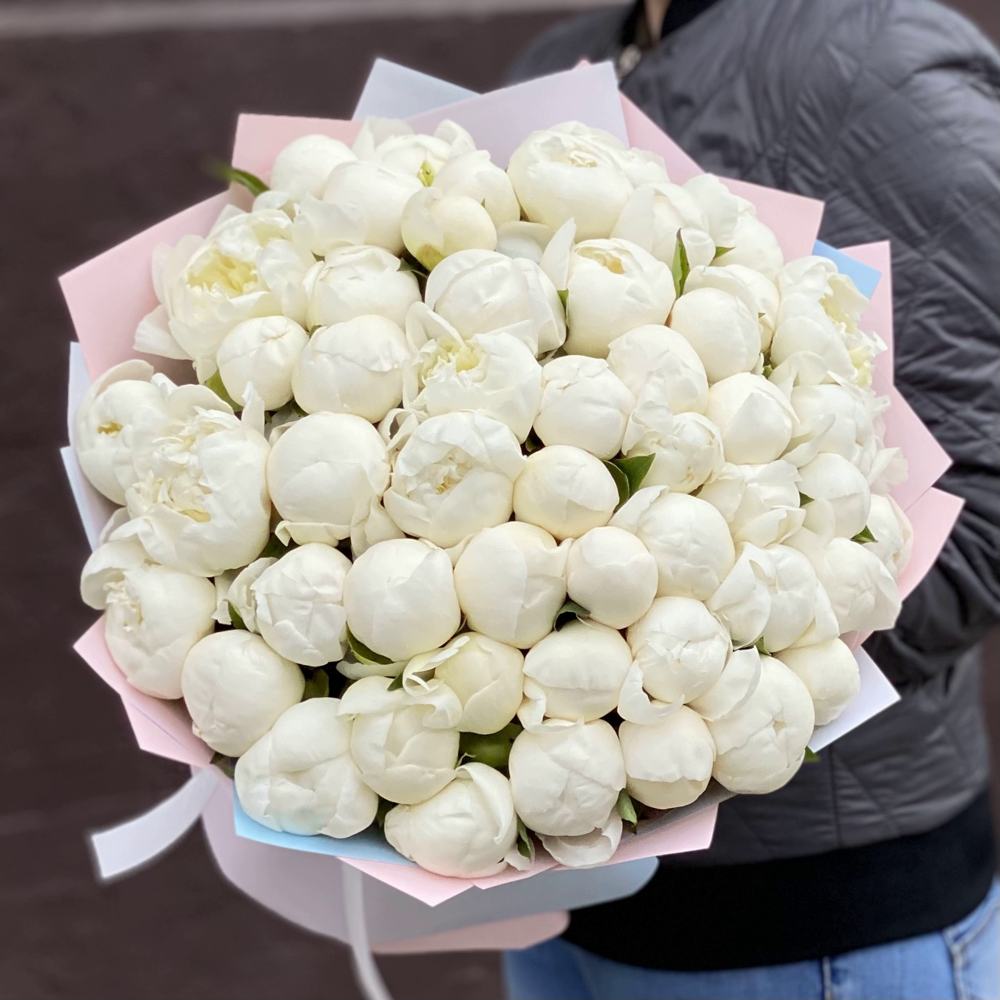 Букет из 51 белого пиона