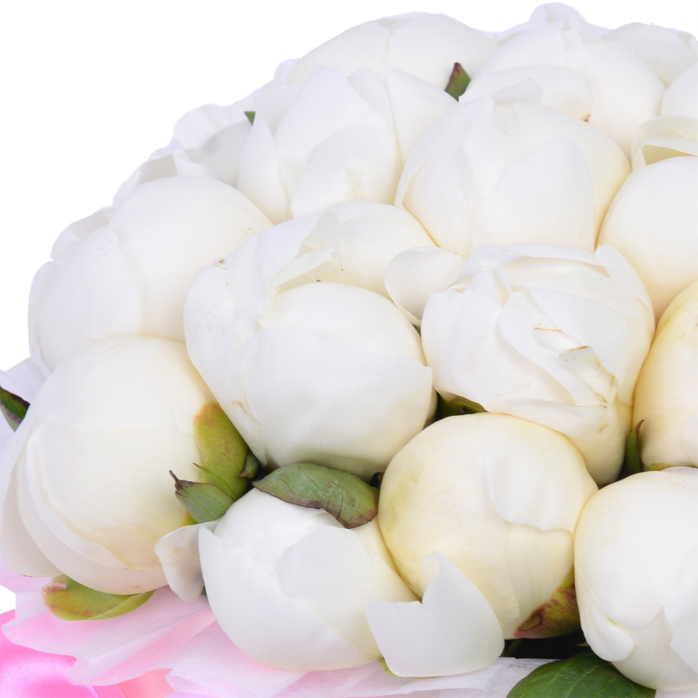 Букет из 35 белых пионов в кремовой шляпной коробке