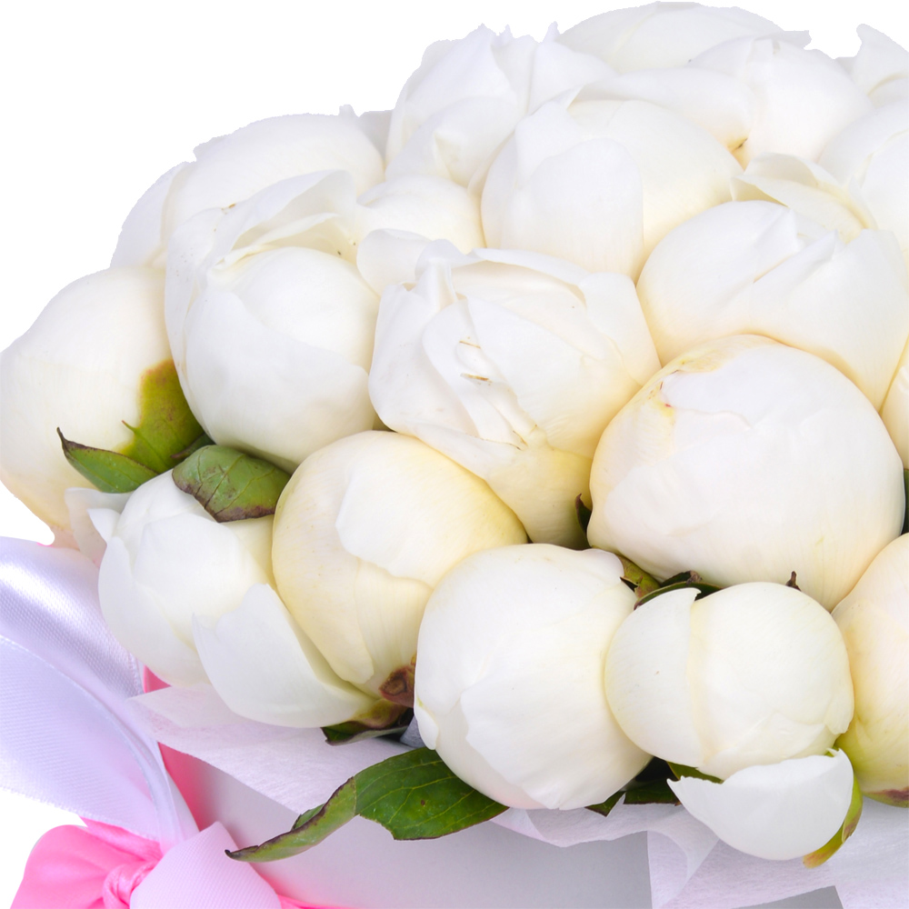 Букет из 35 белых пионов в белой бархатной шляпной коробке