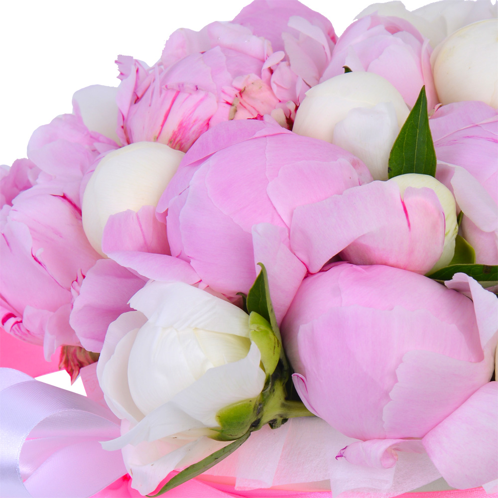 Букет из 21 разноцветного пиона в кремовой шляпной коробке