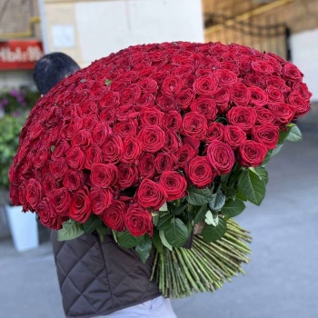 301 красная роза 60 см.