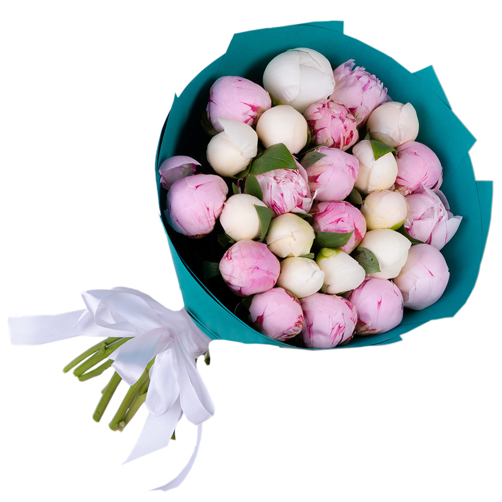 25 разноцветных пионов