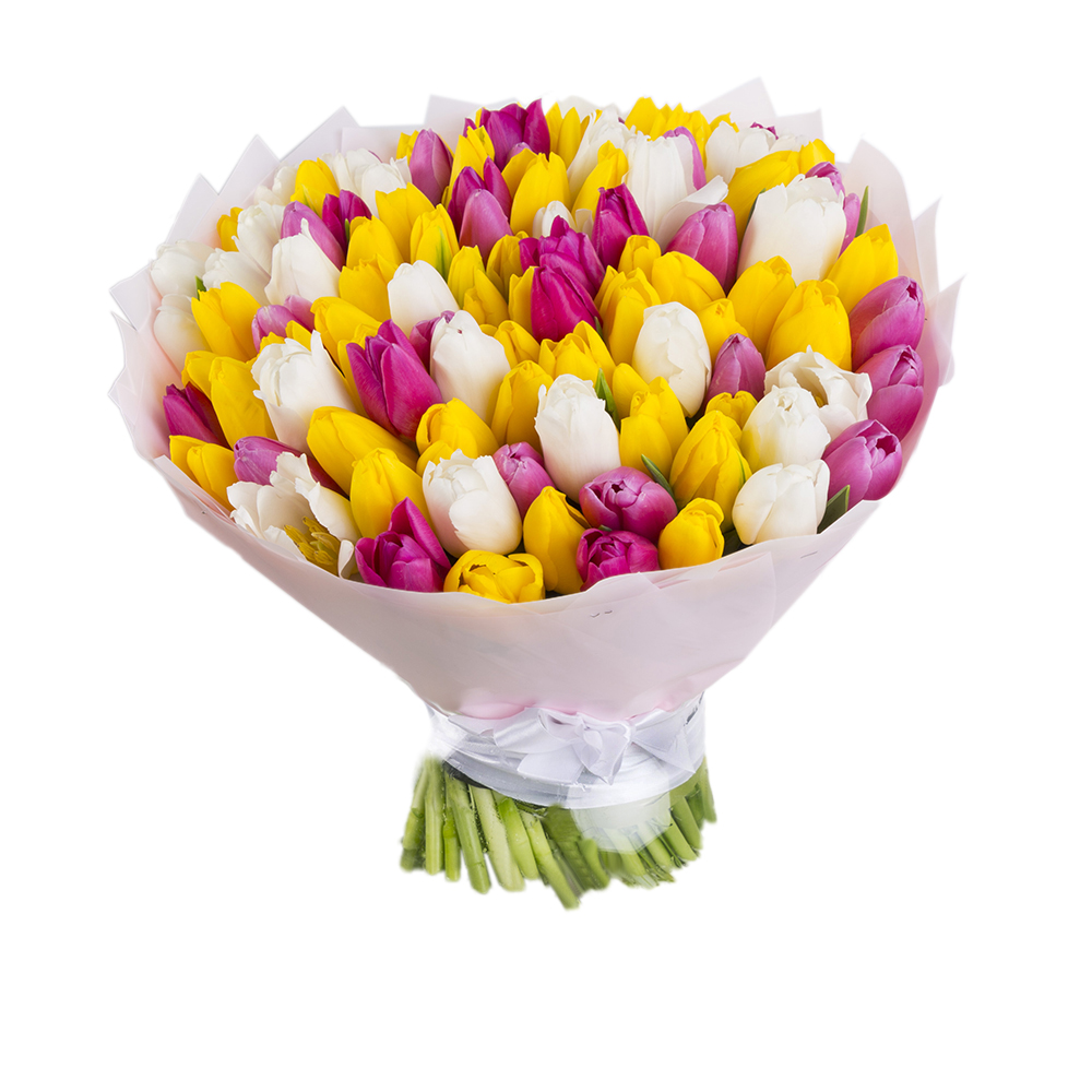 101 разноцветный тюльпан