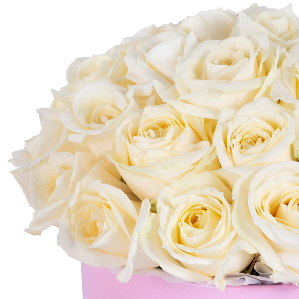 Букет из 35 белых роз premium в розовой шляпной коробке
