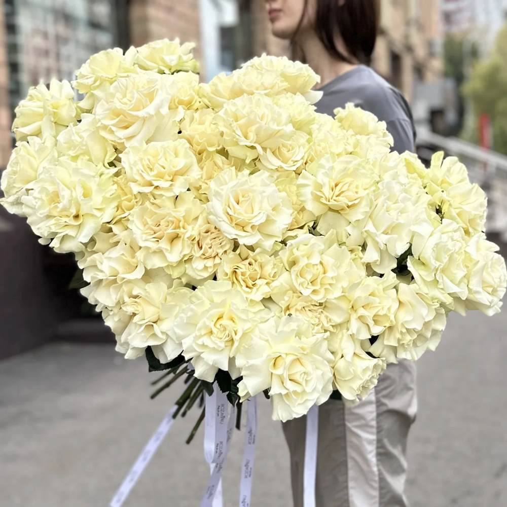 Французская белая роза 51 шт.