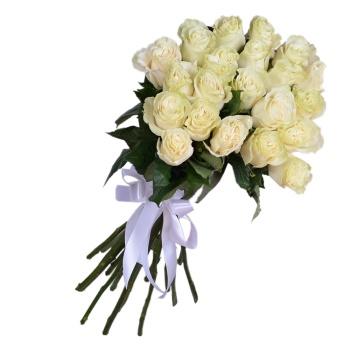 Букет из 21 белой розы Эквадор 70 см