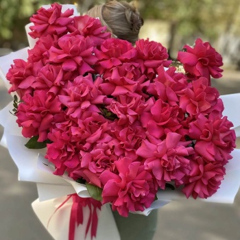 Французская малиновая роза 25 шт.