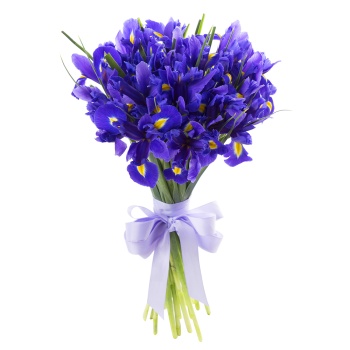 Букет из синего ириса 25 шт