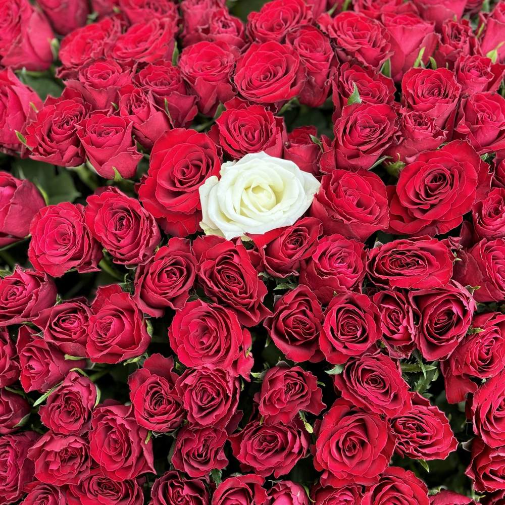 501 красная роза в корзине