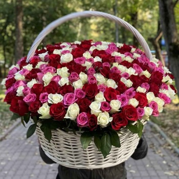301 роза Яркий микс в корзине
