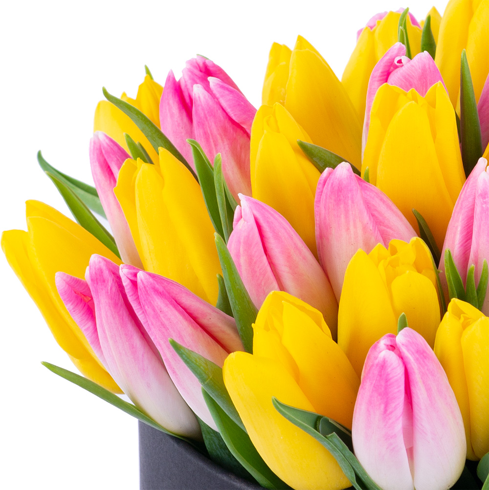 51 разноцветных тюльпан в черной шляпной коробке