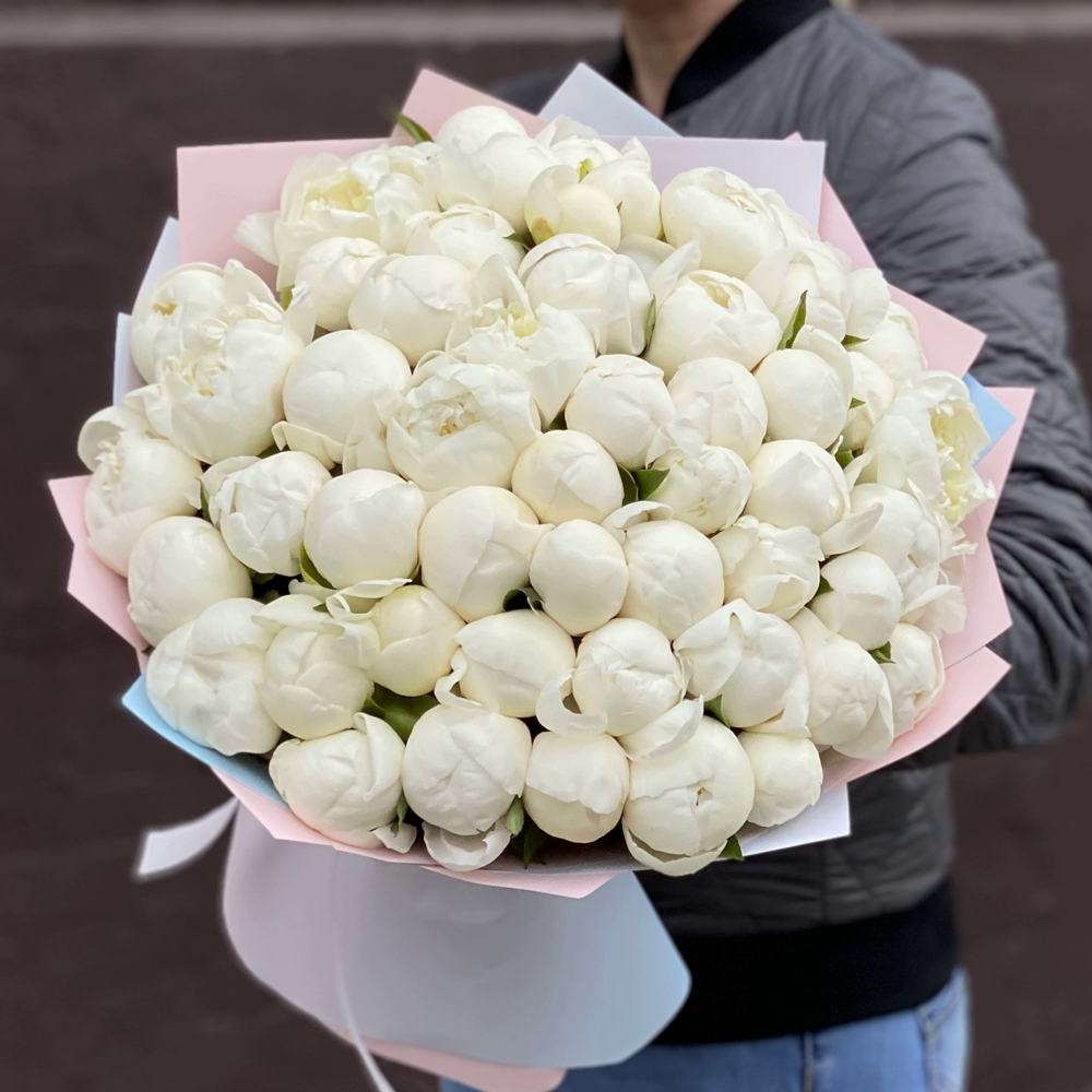 Букет из 51 белого пиона