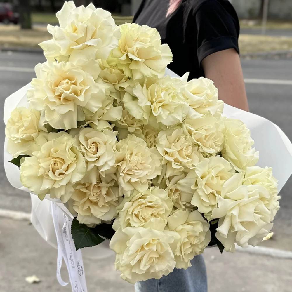Французская белая роза 25 шт.