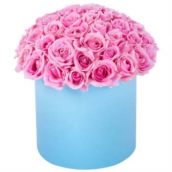 Букет из 51 розовой розы premium в голубой шляпной коробке