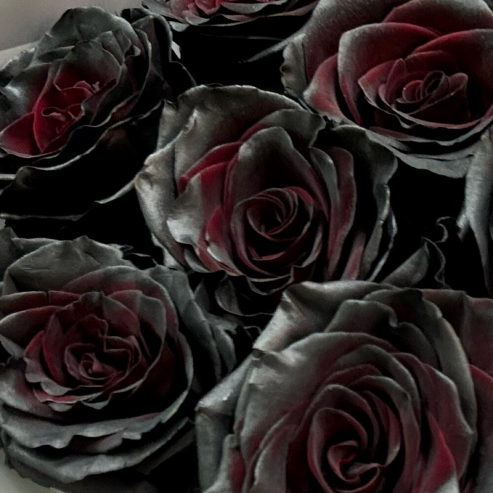 Букет из 11 чёрных роз Премиум