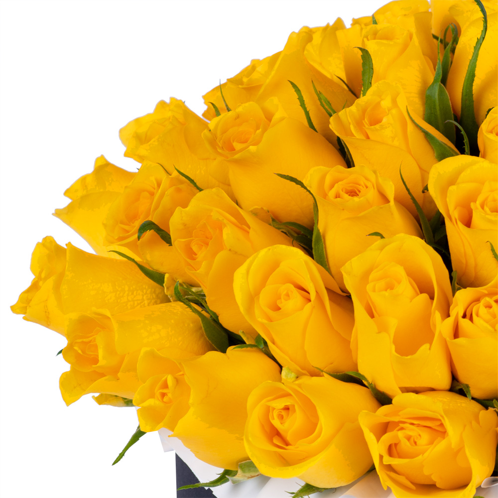 51 желтая роза в черной шляпной коробке